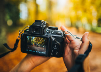 Understanding Camera Sensor Sizes: How it Affects Image Quality